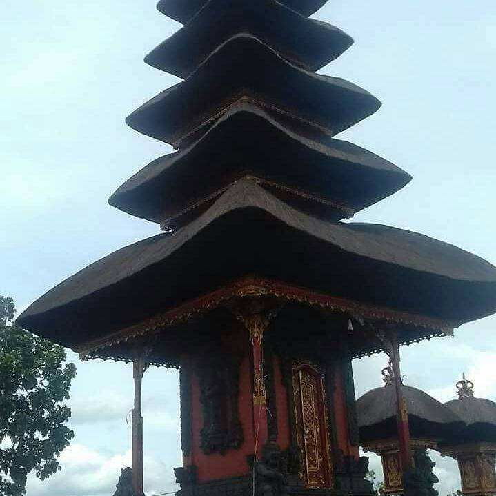 jual atap ijuk bali